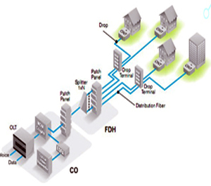 Business Internet Access Service (DIA)